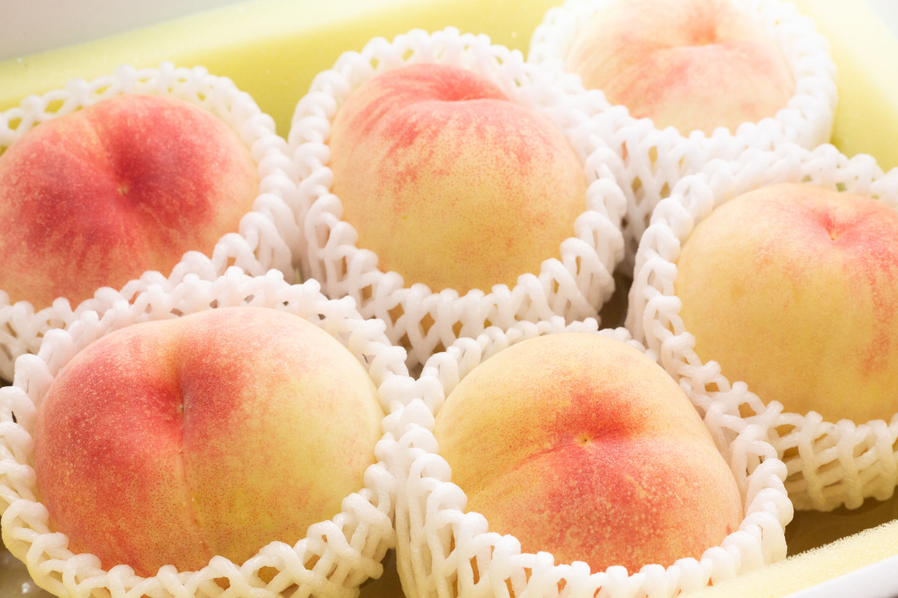 清水白桃2kg箱 ご進物・ご贈答用(10箱限定) | OKAYAMA fruits station