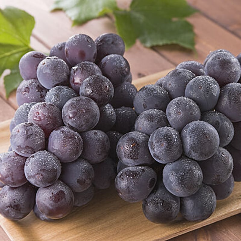 ニューピオーネ特別限定品 1kg箱(20箱限定) | OKAYAMA fruits station