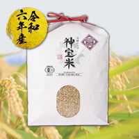令和6年度【塩谷】神宝米（玄米）3kg　※社内特別価格