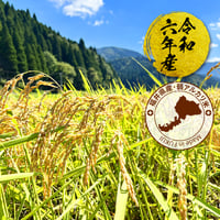 令和6年度 【福井弱アルカリ】神宝米（玄米）3kg　※社内特別価格
