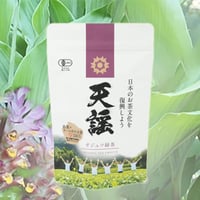 有機屋久島茶『天謡』　ガジュツ緑茶　※社内特別価格
