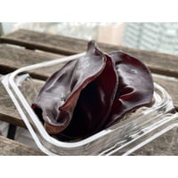 灰猫の生きくらげ（６月～９月の限定商品）  100グラム/5パックセット