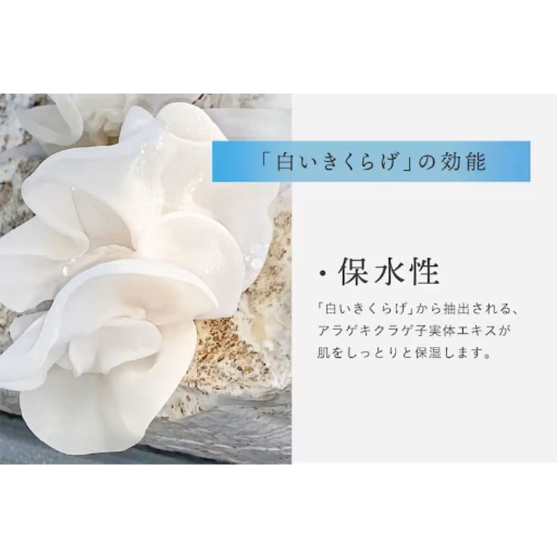 Aurelie モイスチャライジングセット モイスチャライジングローションⅠ リミテッドキット【数量限定