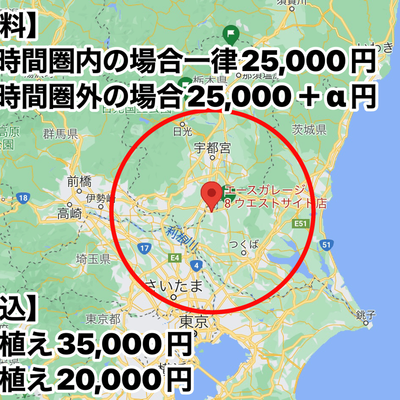 ココスヤシ、配送＋植え込み費コミコミ価格(関東圏 Amazon.co.jp: ココスヤシ ヤシの木 5.5メートル級植え込み費コミコミ