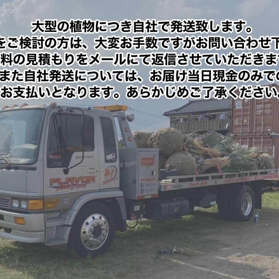 62e75a9dbef3814bc5fe0fe7