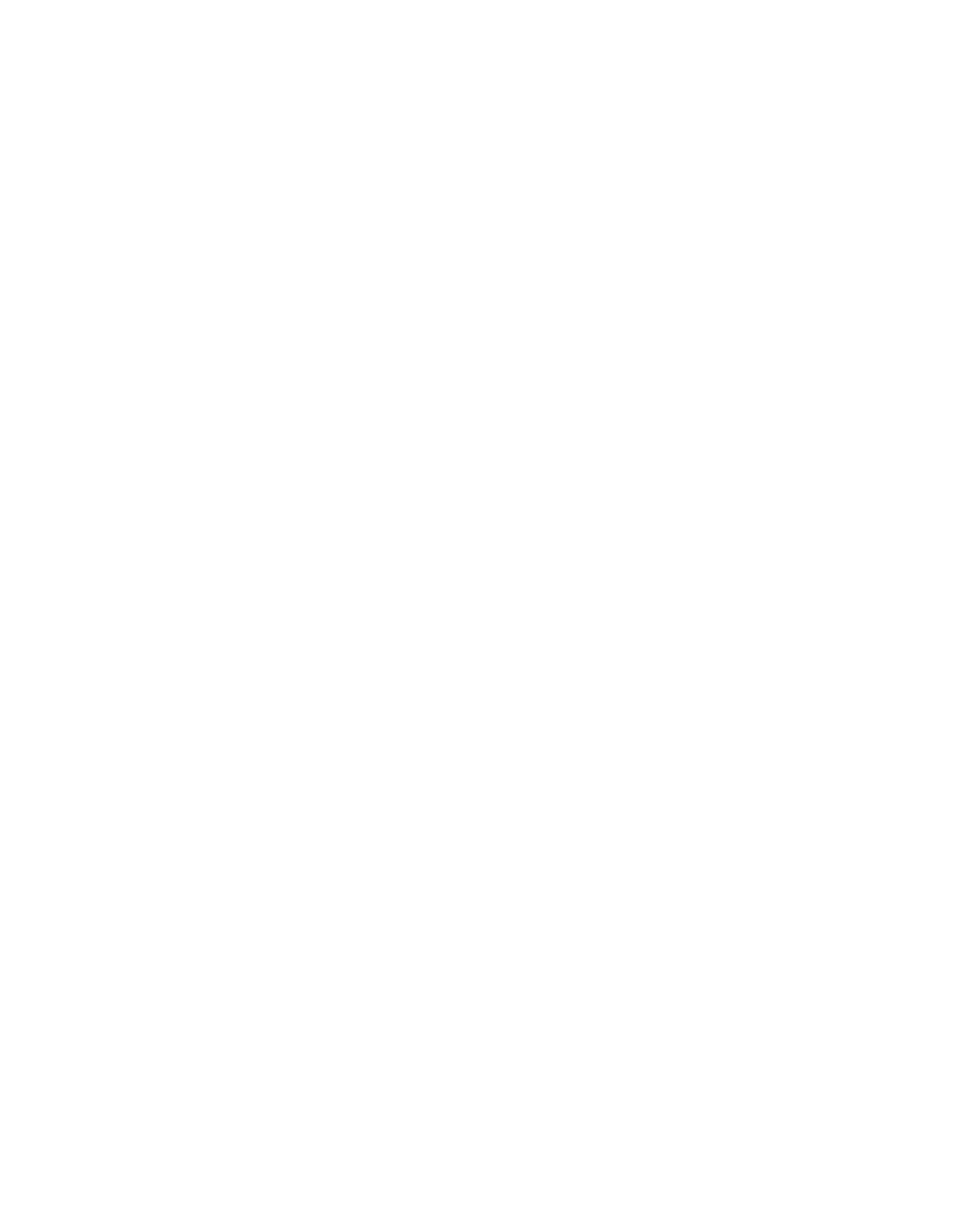 saachan_accessory
