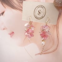Candy Aurora Drop