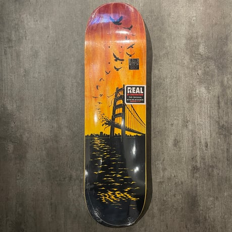 REAL "COMMUTE" 8.25inch