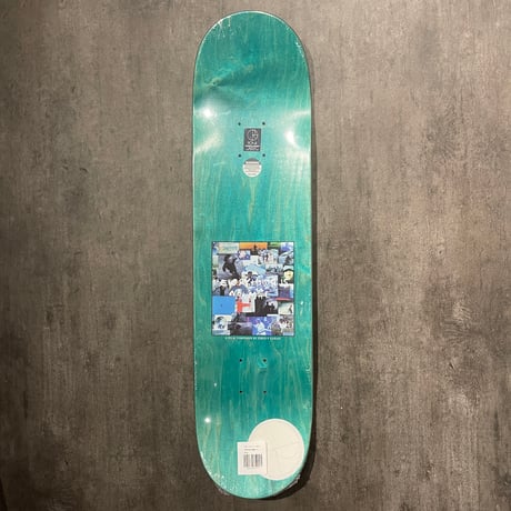 POLAR "Everything Is Normal" 8.0inch(short)