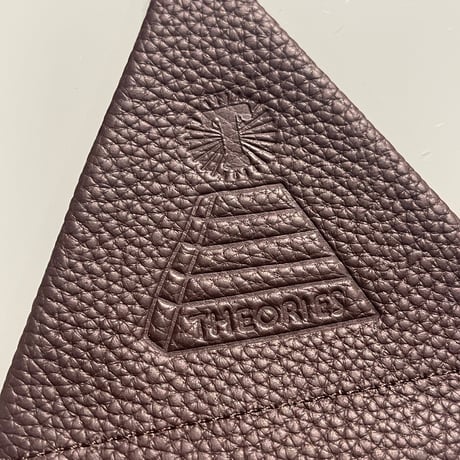 THEORIES "Coin Case"
