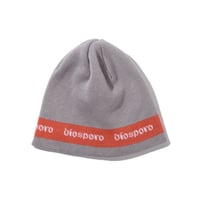 DIASPORA "Lined Logo Single Beanie" (Steel)