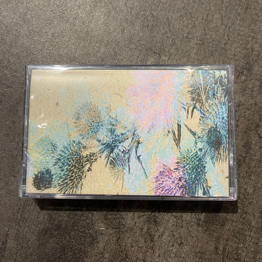 6631ec618e3e6552455ae998