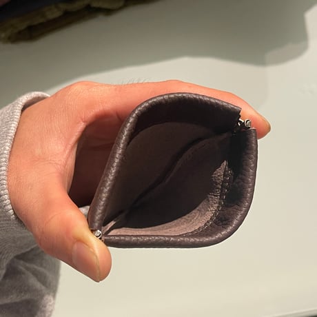 THEORIES "Coin Case"