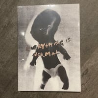 POLAR "Everything Is Normal " Book