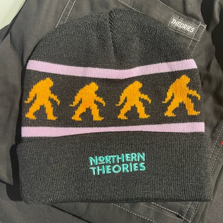 THEORIES "NORTHERN THEORIES Beanie" (Black)