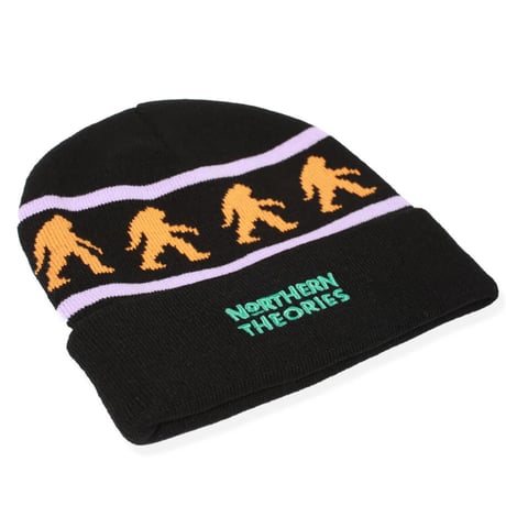 THEORIES "NORTHERN THEORIES Beanie" (Black)