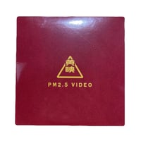 PM 2.5 "PARTICLE MIND"