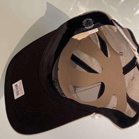 VENTURE "AWAKE CAP" (silver)