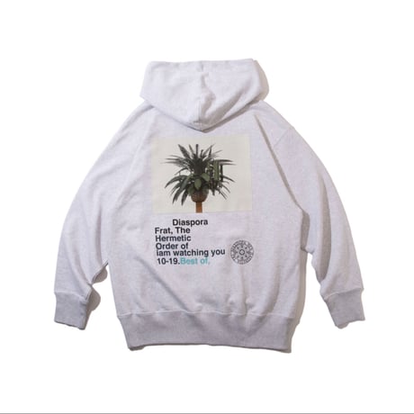 Diaspora | Martin Parr | Medeia1.0 Watching You Hooded Sweatshirt (steam)