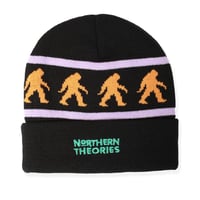 THEORIES "NORTHERN THEORIES Beanie" (Black)
