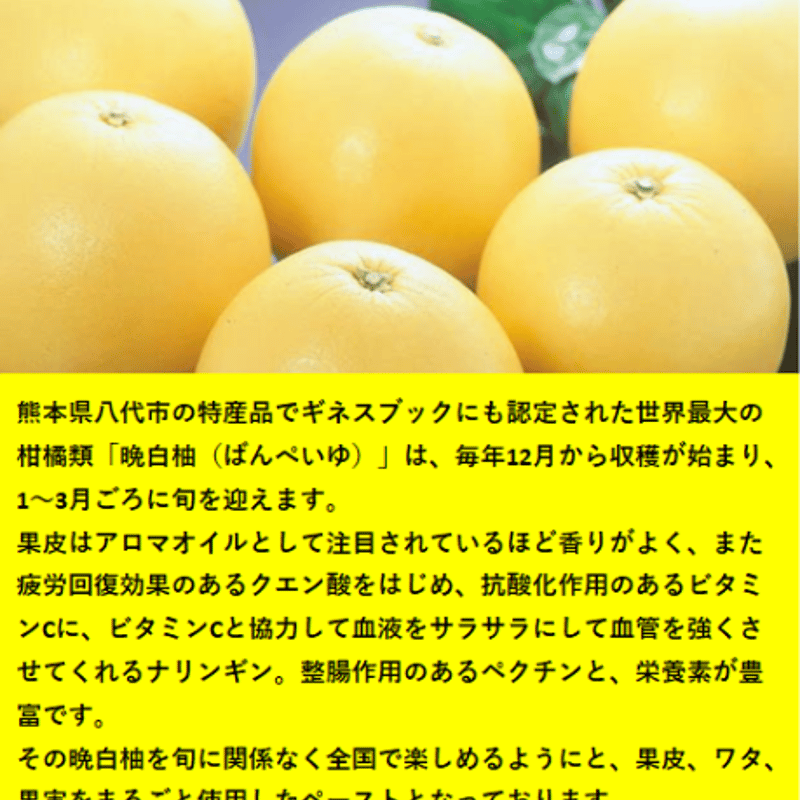 晩白柚ペースト「マキシト」250g [八代市産の晩白柚を使ったペースト