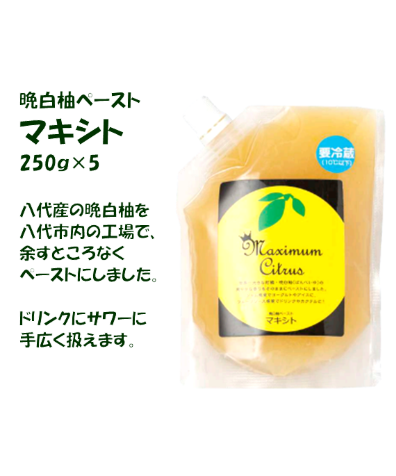 柚ページ ゼクス Z/X 上柚木さくら IGR カードガチャ キャラクターデッキ 上柚木
