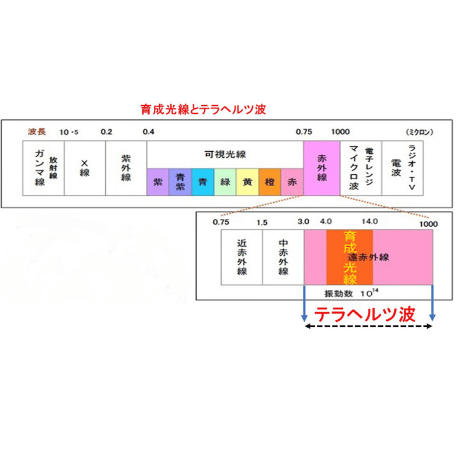 62bfd285b5285a3cc655e215