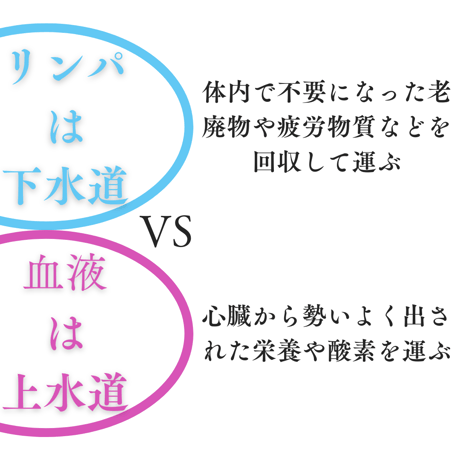 ツインレッグス（両脚首テラヘルツチェーン）