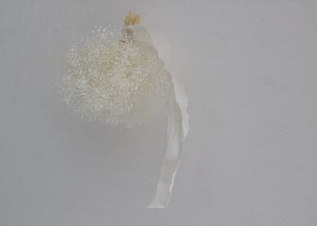 《予約商品》かすみ草バスケット