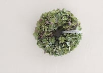 夏☀︎SALE！ユーカリと紫陽花のラベンダーカラーハーフリース　バラプルモルサ 夏☀︎SALE！ユーカリと紫陽花のラベンダーカラーハーフリース