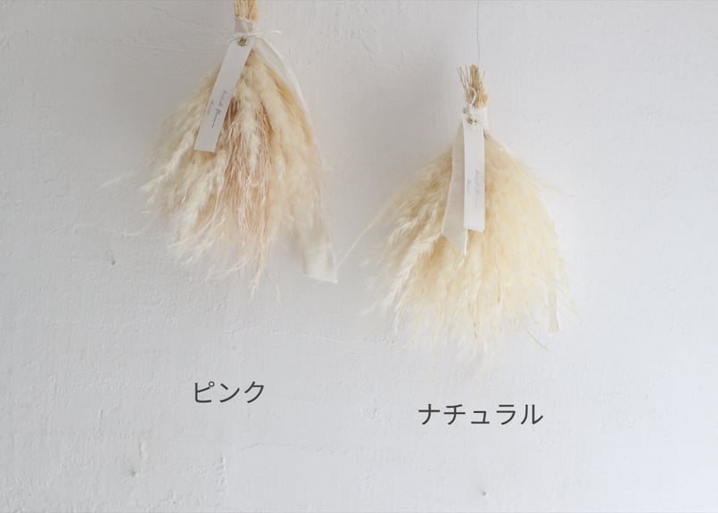 専用ページ☆パンパスグラスのフライングリース＆プロテアスワッグ パンパスグラスのフライングスワッグ | F L E U R I