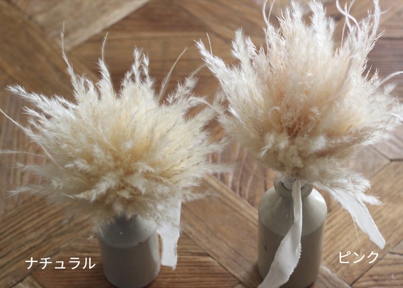 専用ページ☆パンパスグラスのフライングリース＆プロテアスワッグ 専用ページ☆パンパスグラスのフライングリース＆プロテア