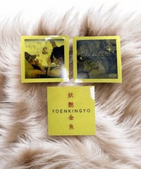 クリアステッカー3枚セット /sticker 3pcs