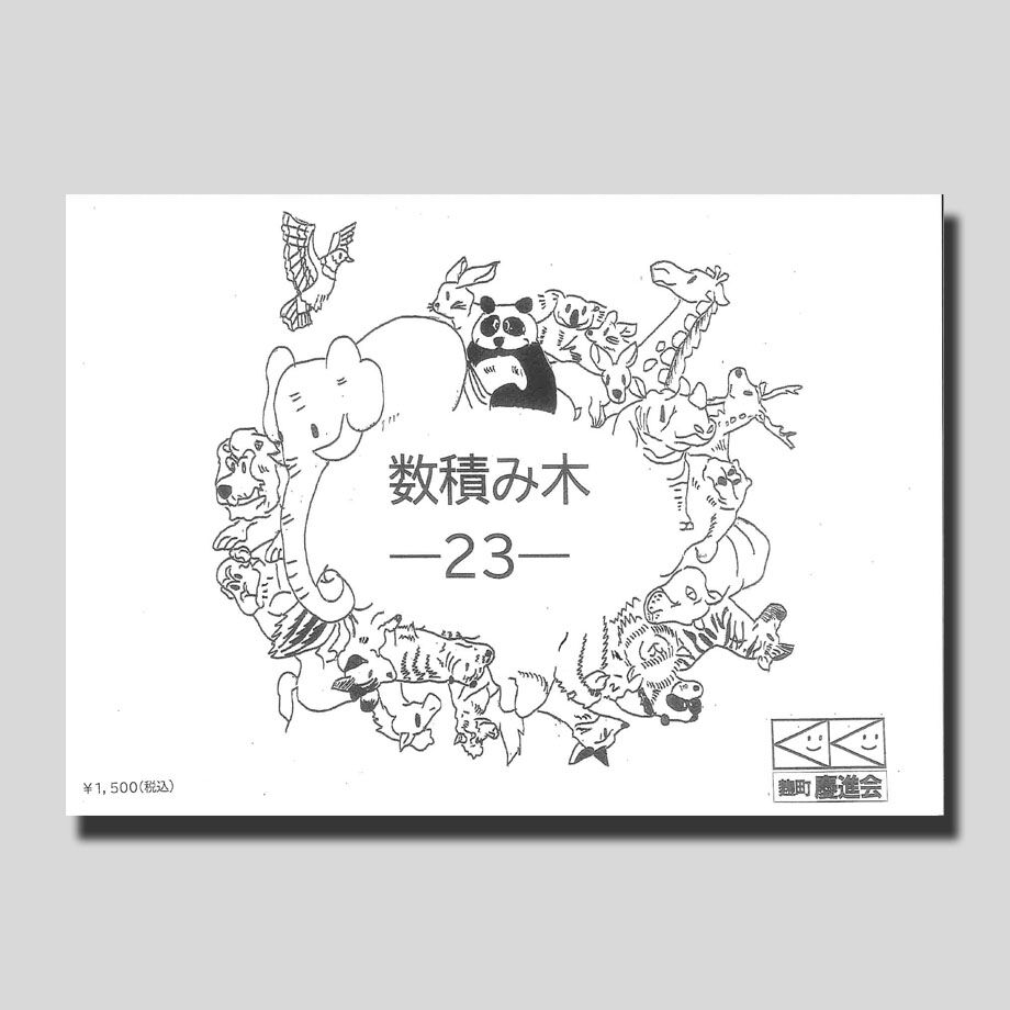 積み木 dショッピング |エド・インター 音いっぱいつみき 806371 音