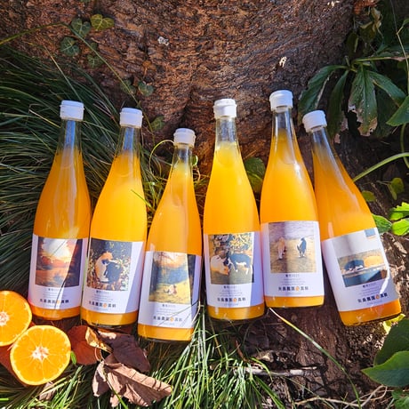 柑橘直送 YAJIMA農園