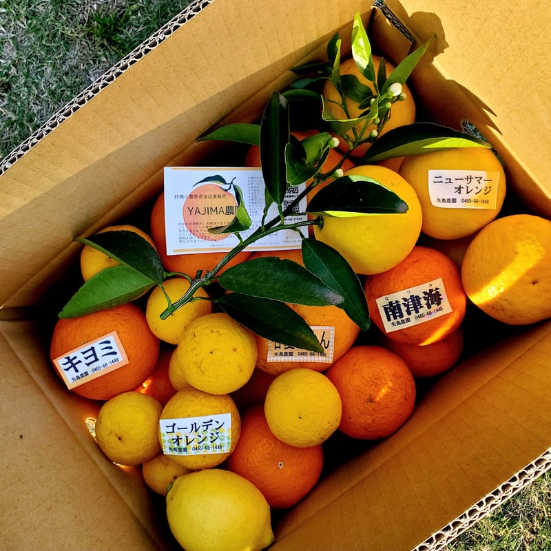 Orange様♡ありがとうございます♡ おはようございます😊✨ 今日はふと4時半に目が覚めて 外を見