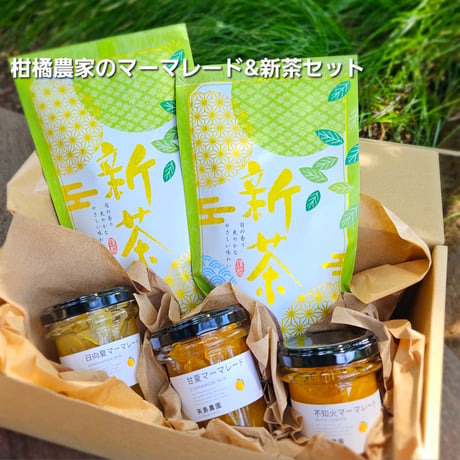 柑橘直送 YAJIMA農園