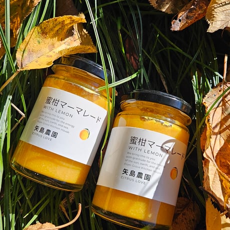 柑橘直送 YAJIMA農園