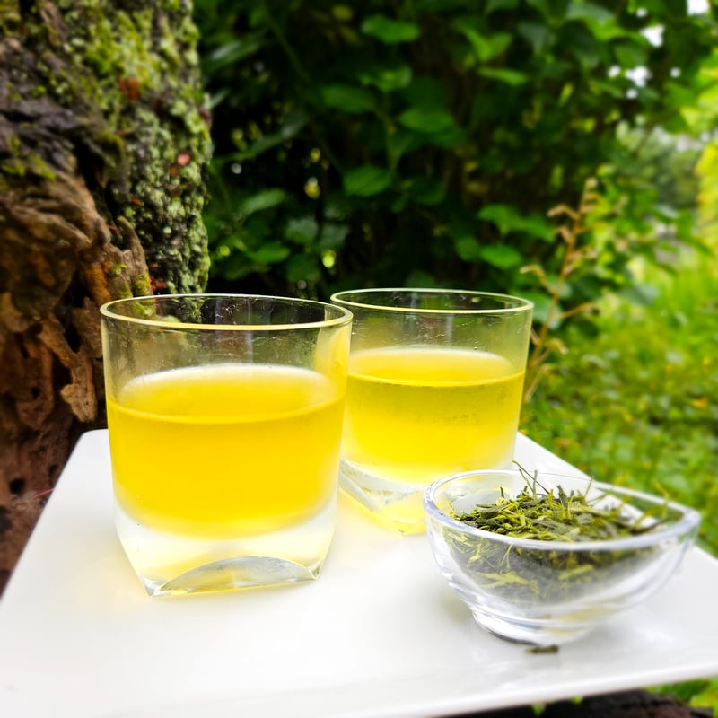 🌱緑茶生活スターターキット🌱新茶とボトルのセット（送料込み