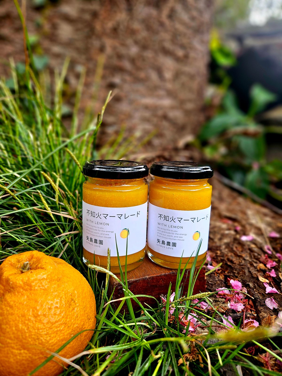 選べる🍊季節のマーマレード🌟単品販売1～6個 | 柑橘直送 YAJIMA農園