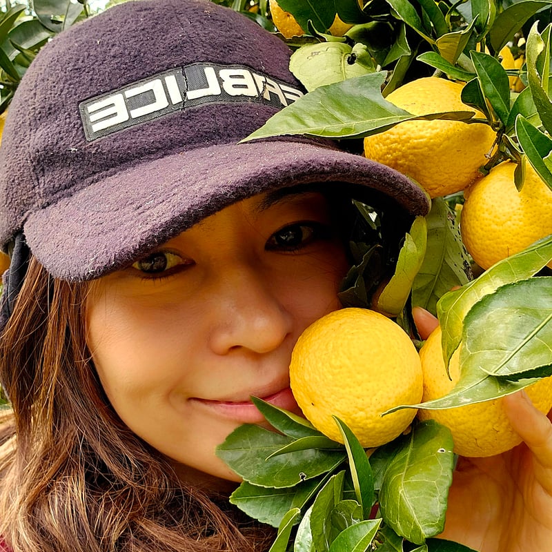 希少☆湘南ゴールド🍊神奈川特産♡10キロ | 柑橘直送 YAJIMA農園 希少☆湘南ゴールド🍊神奈川特産♡10キロ | 柑橘直送 YAJIMA農園