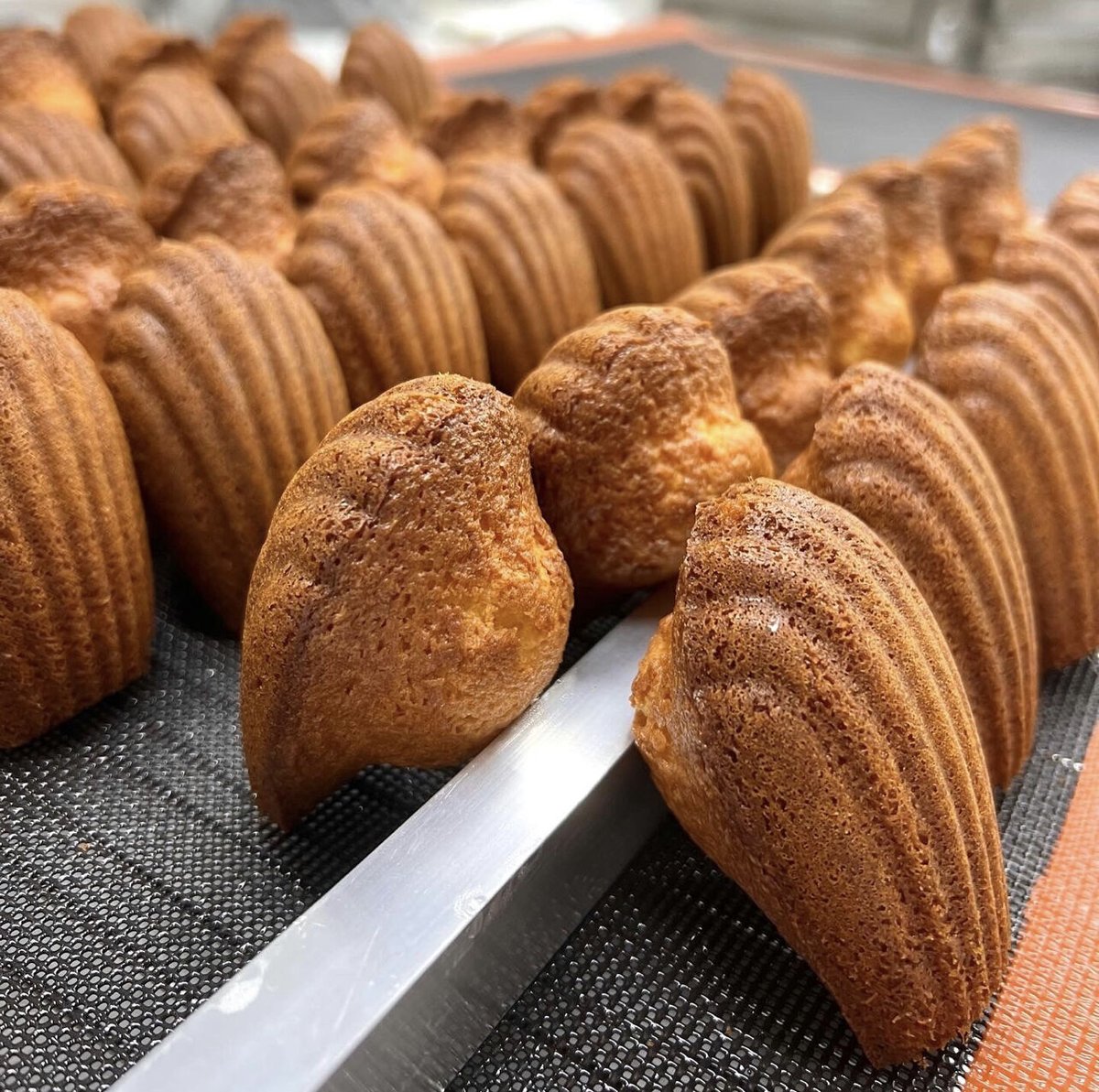 焼きたてマドレーヌBOX (8個) | TRÉS SIMPLE