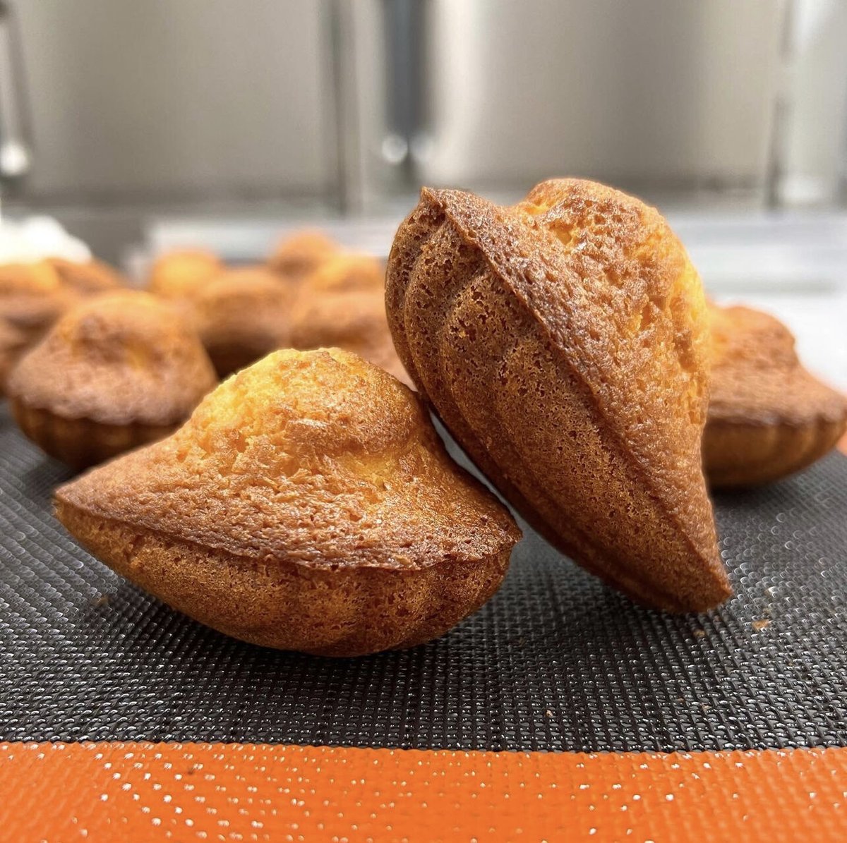 【特価】ドメーヌ フーリエ　3本セット ドメーヌ タリケ トライアル 4本セットの通信販売