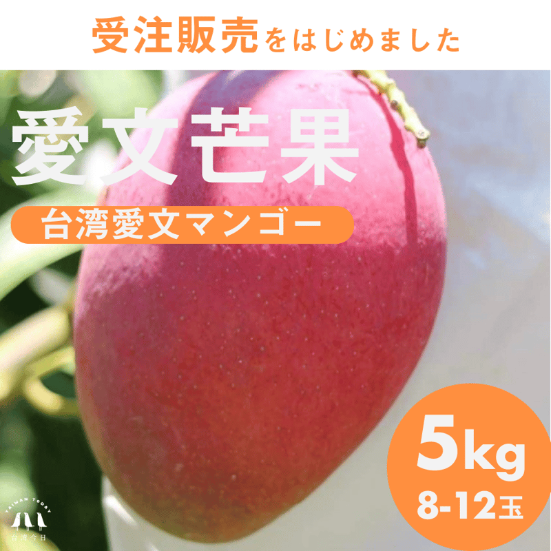 贈答用】台湾 愛文マンゴー 5kg/8-12玉 大玉 Lサイズ | 台湾今日