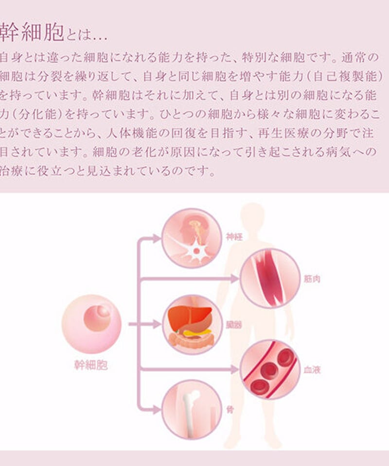 セルロジーコスメ> 特別サンプルセット | 隠れ家salonいろは STORES セルロジーコスメ> 特別サンプルセット | 隠れ家salonいろは STORES