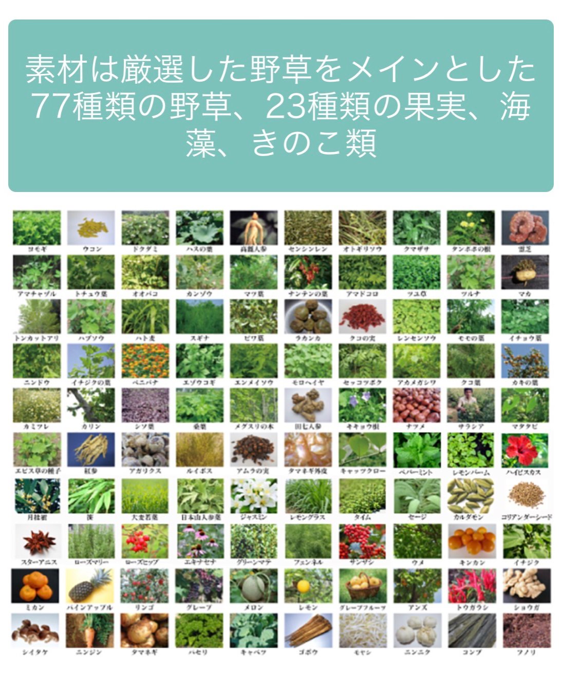 プレミアム酵素MAP+ 720ml【送料無料】 | 隠れ家salonいろは STORES