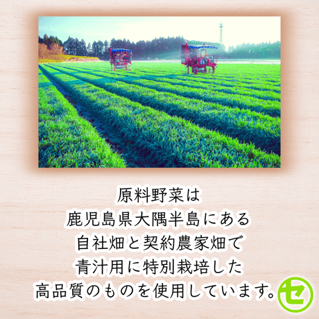 【業務用】大麦若葉 大隅半島産  スティック1,000本(1本1.5g入)