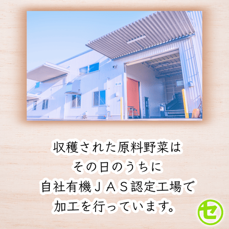 【業務用】大麦若葉 大隅半島産  スティック1,000本(1本1.5g入)