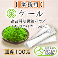 【業務用】ケール 大隅半島産  スティック1,000本(1本1.5g入)