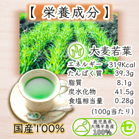 【業務用】大麦若葉 大隅半島産  スティック1,000本(1本1.5g入)
